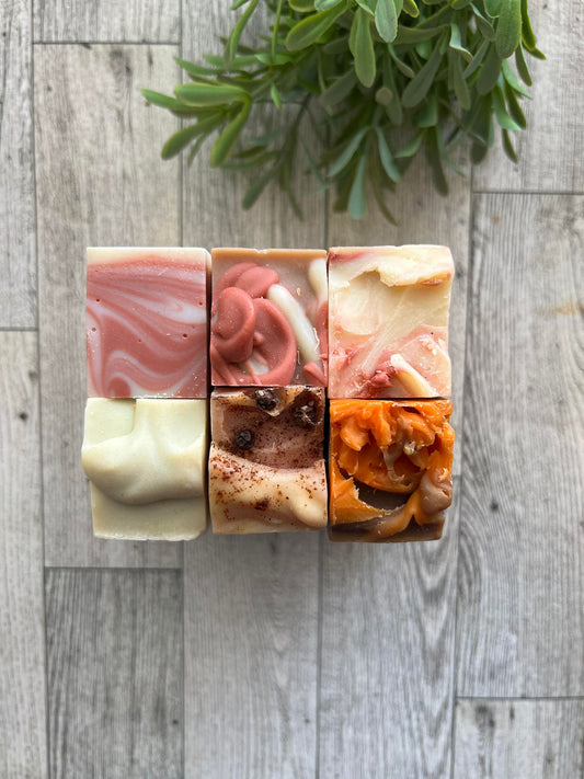 Soap Sample Bundle